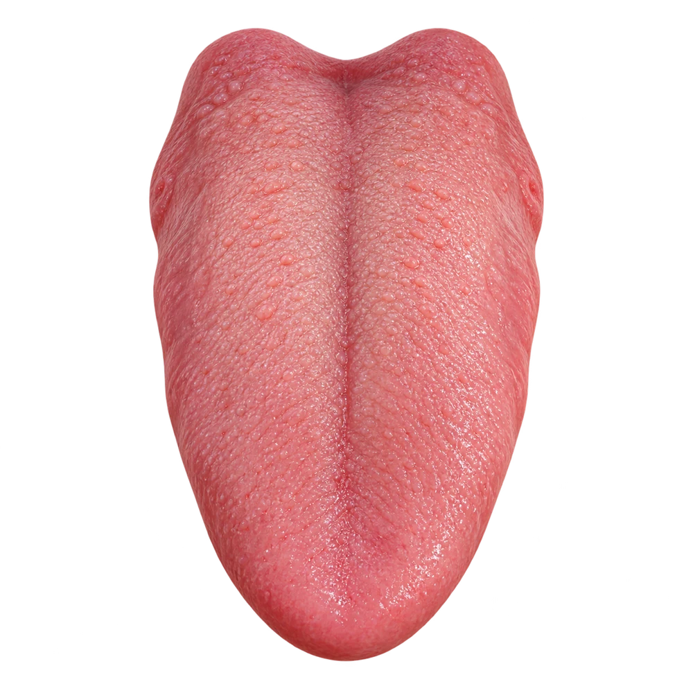 Separate illustrative tongue close-up